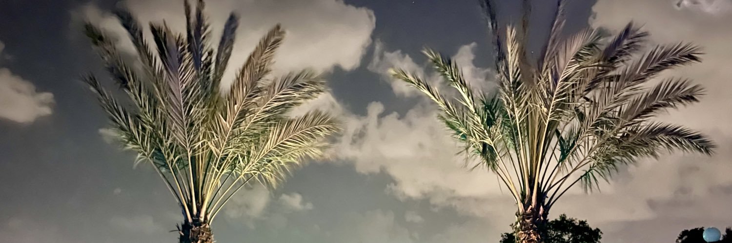 ParkTray's profile banner image