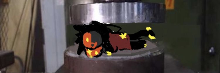 cog's banner