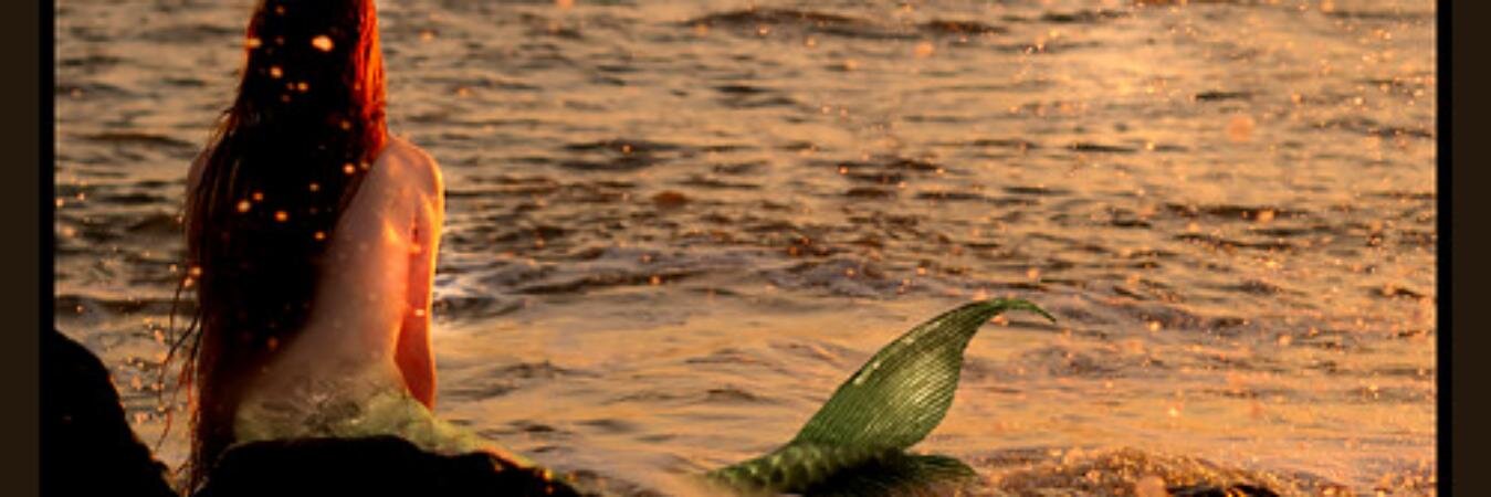 Laura Fernández Torrisi ♆ banner