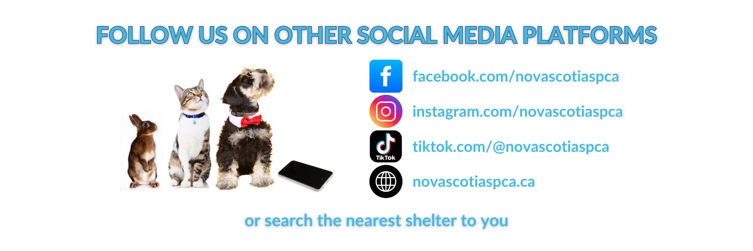 Nova Scotia SPCA banner