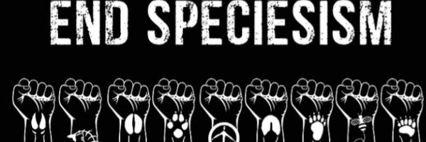 ahab_acab Profile Banner