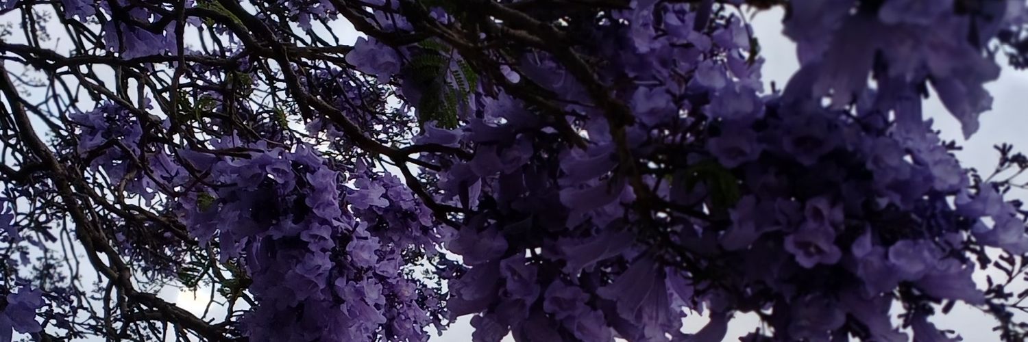 paafl's profile banner image