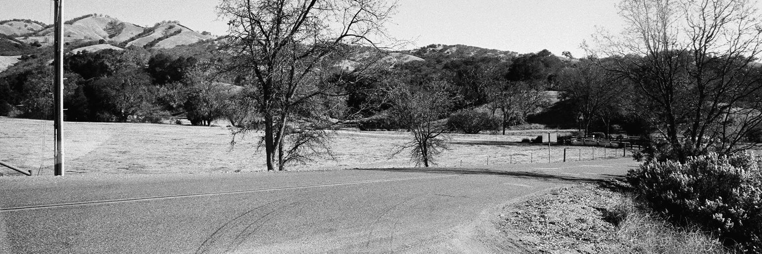 S. S. A. Moon banner