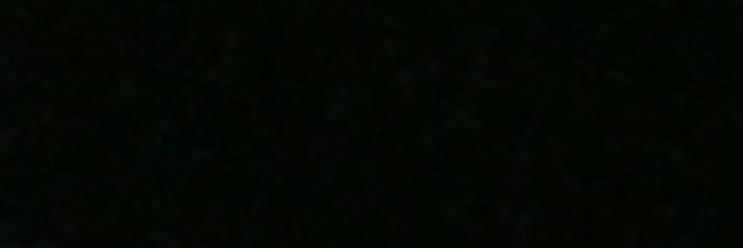 lmknina's profile banner image