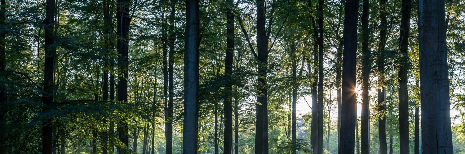 Forrest 🇺🇸🇺🇦 Supports Ukraine banner