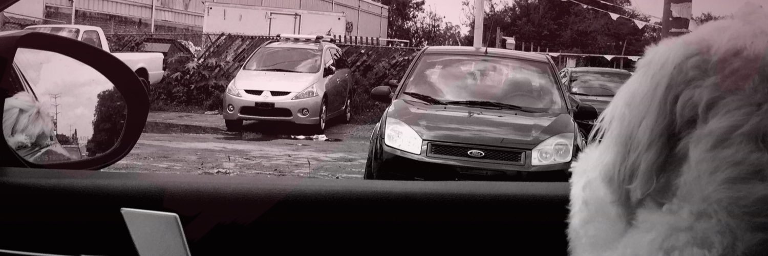 CristalTouche's profile banner image