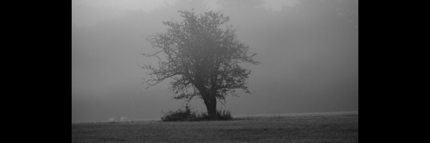 Mybareness banner