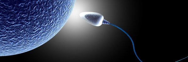 AdvReproduction Profile Banner