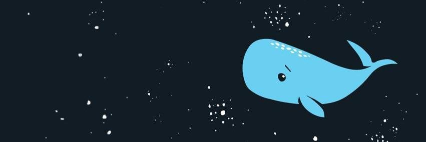 lucasraulin's profile banner image