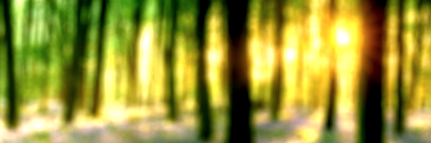 Spring_Buck's profile banner image