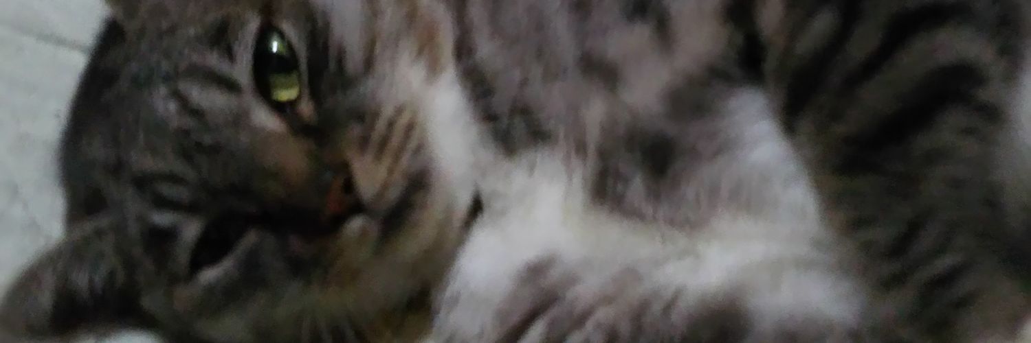 shion703mon's profile banner image