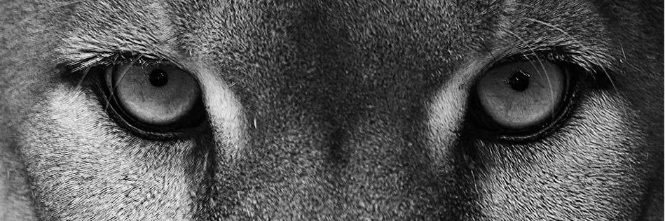jerryowad's profile banner image