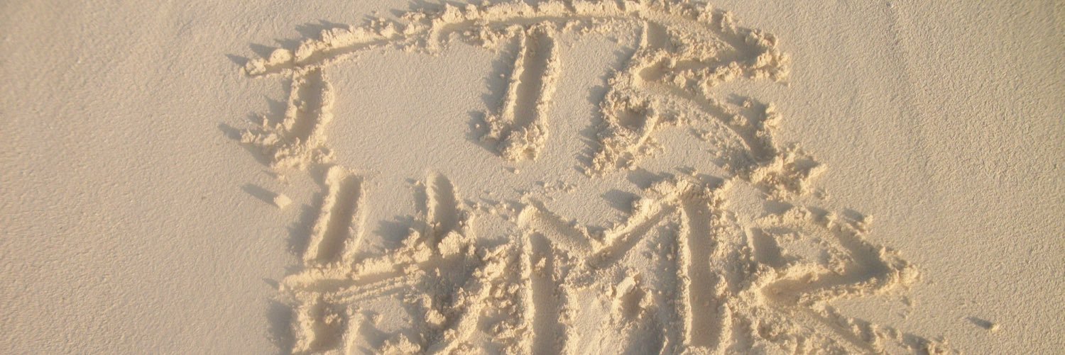 ttrodzen's profile banner image