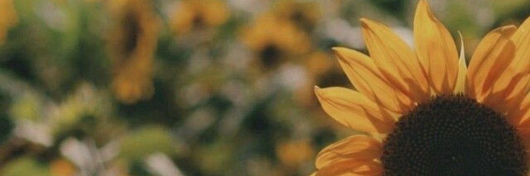 mrss_c4mi's profile banner image