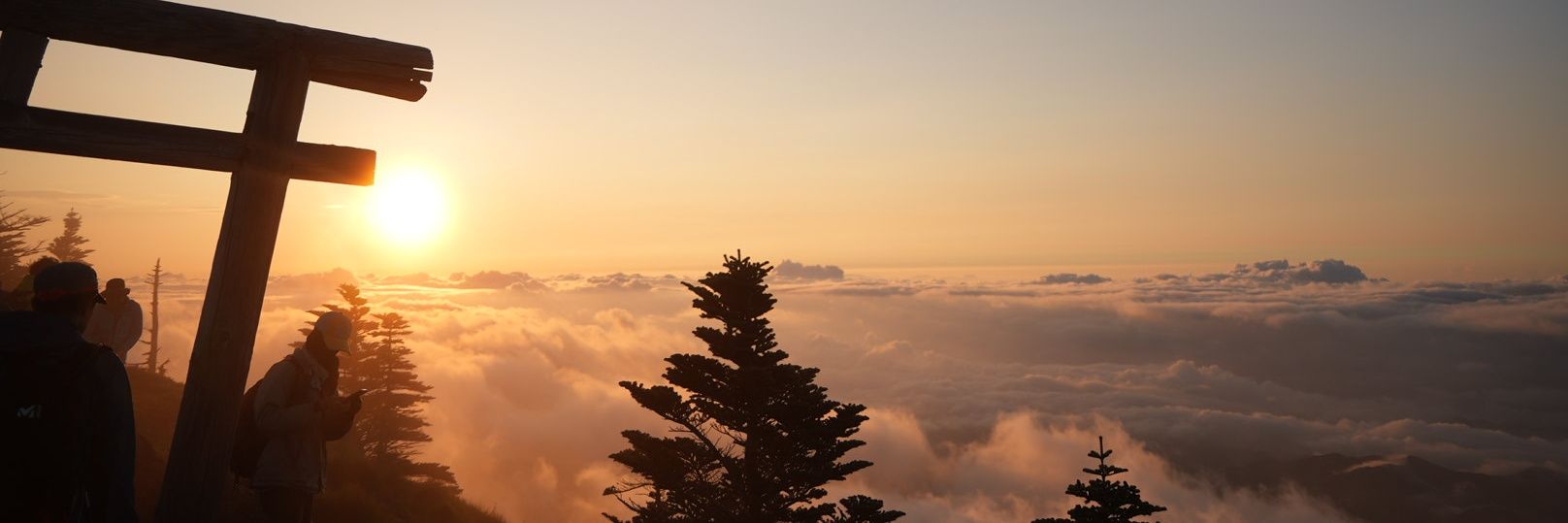 UME421's profile banner image