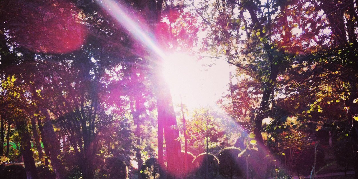 Con doble erre y u banner