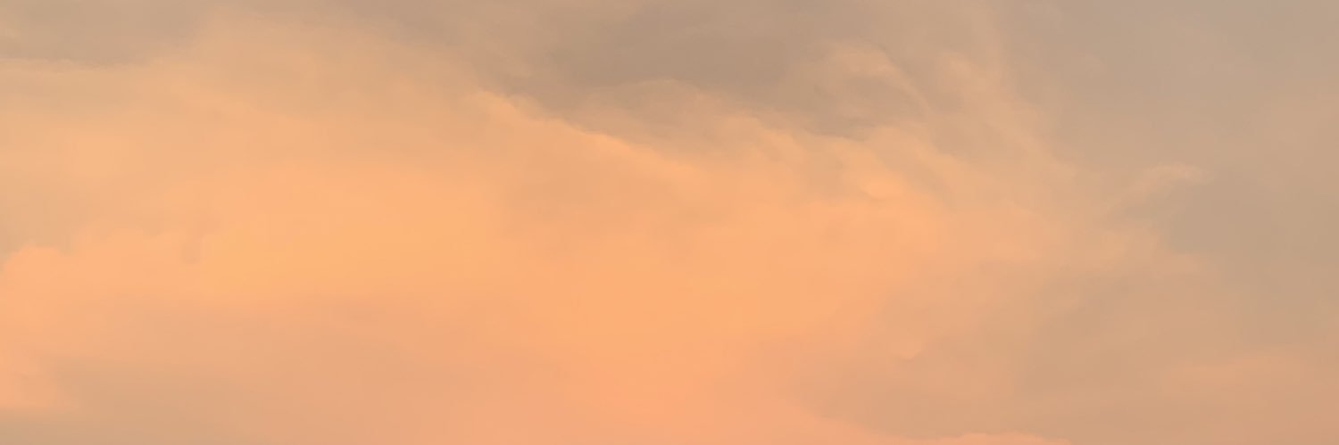 _snashi's profile banner image
