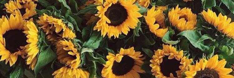 May_GenB's profile banner image