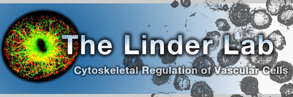 LinderLab Profile Banner