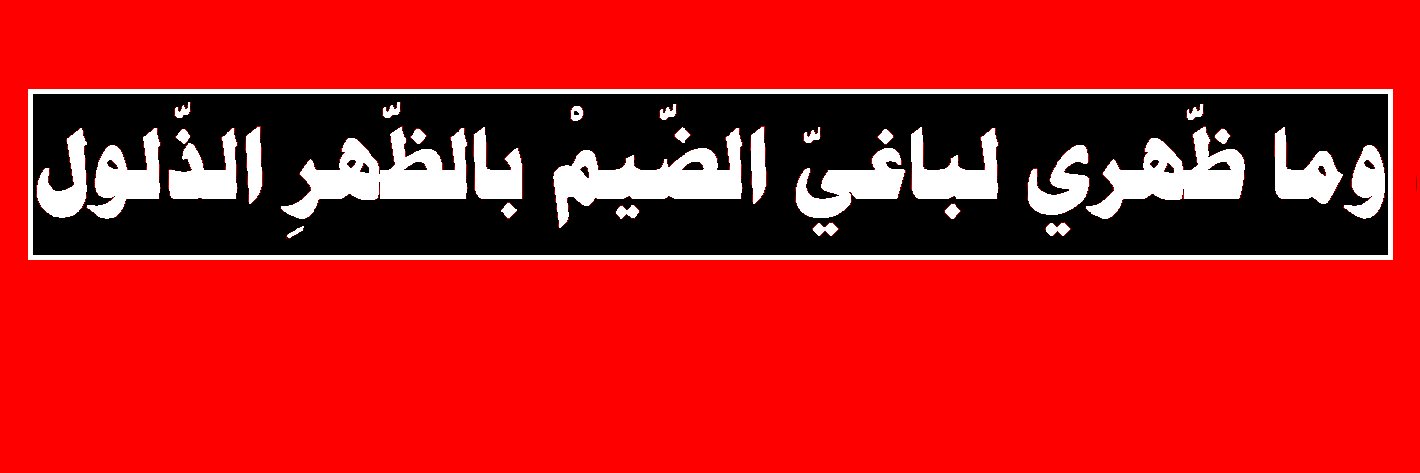 shteel888's profile banner image