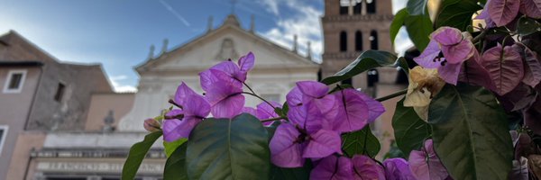 whittyrem Profile Banner