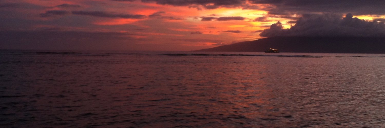 TheBrianSmart's profile banner image