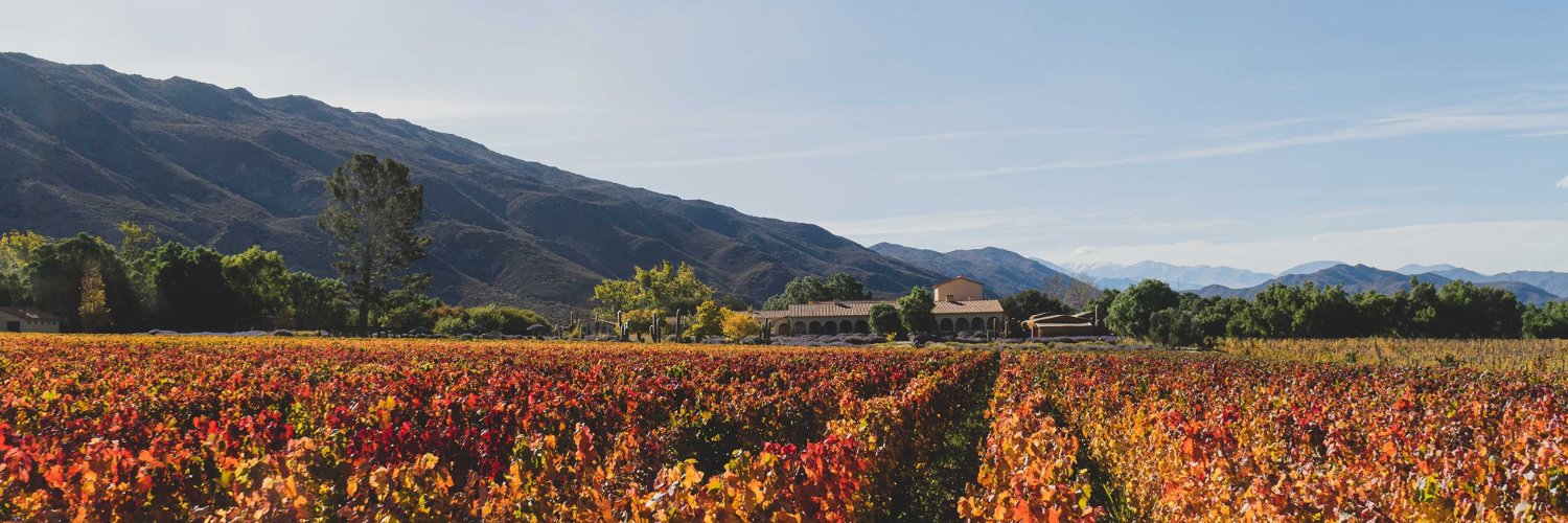 Bodega Colomé banner