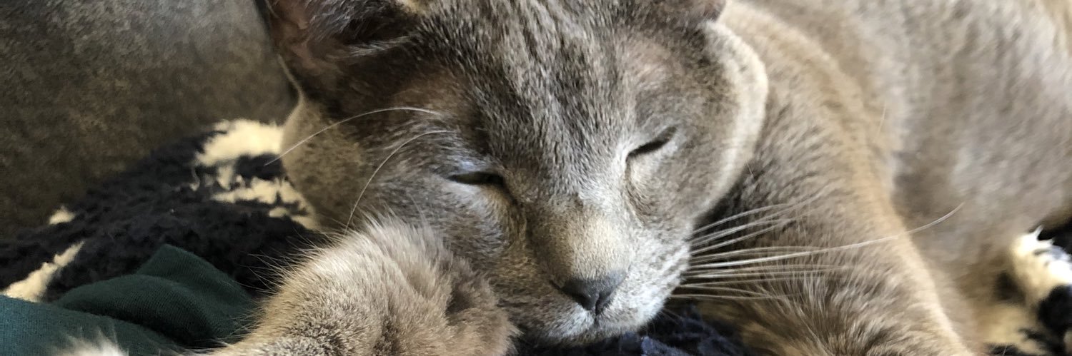 MackAttack_4's profile banner image