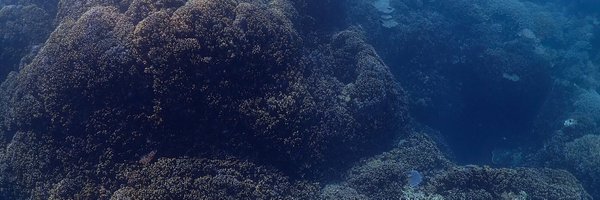 SunshineMiyagi Profile Banner
