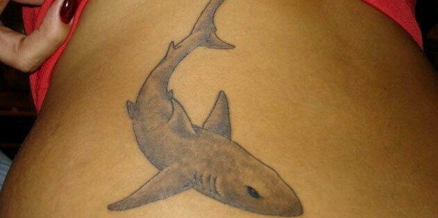 renatashark's profile banner image