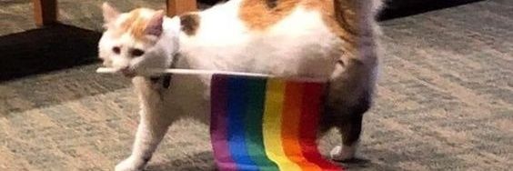 justvvill's profile banner image