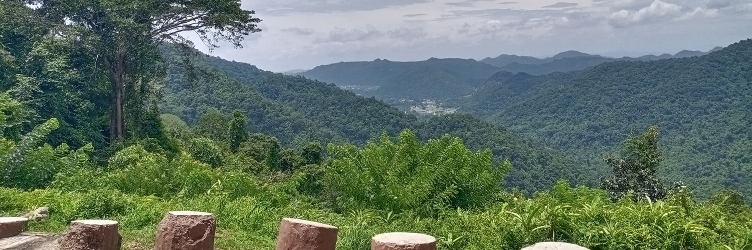 pkrsemkh1's profile banner image