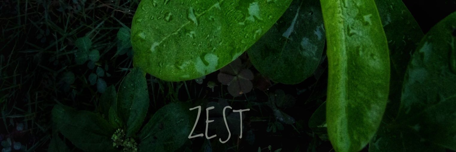 zestdlaw's profile banner image