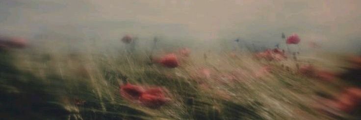 romina95875's profile banner image
