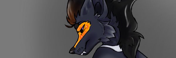 DD_DK9 Profile Banner