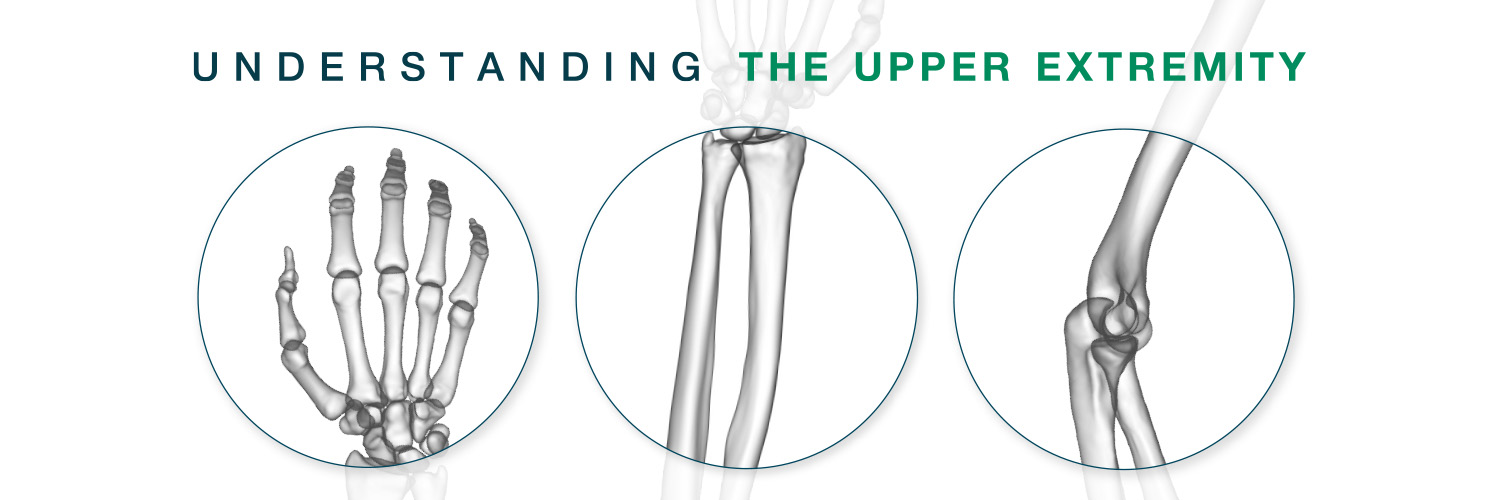 Skeletal Dynamics banner