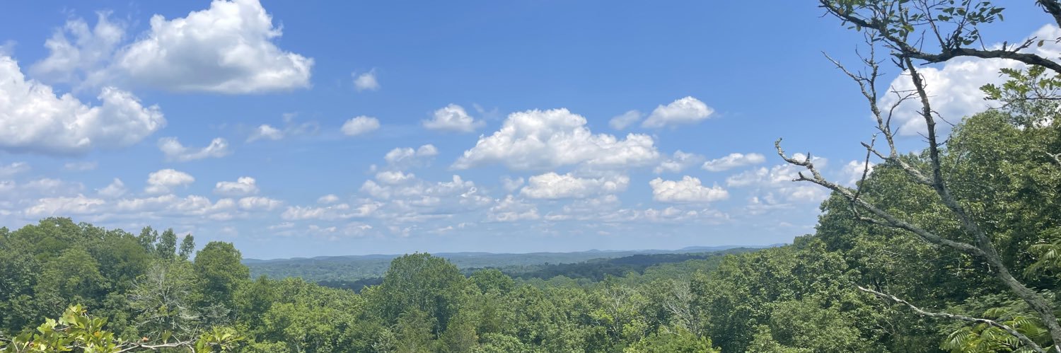 Sara McDaniel banner