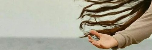 Mohammad Rahbar banner