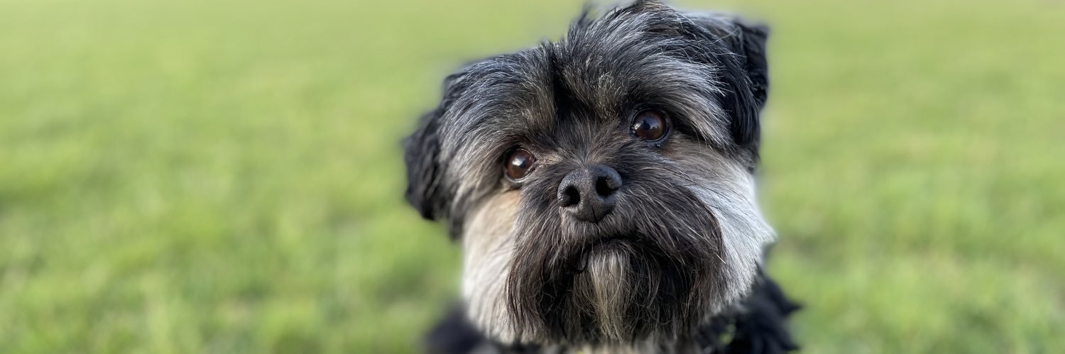 Andrew Stanley banner