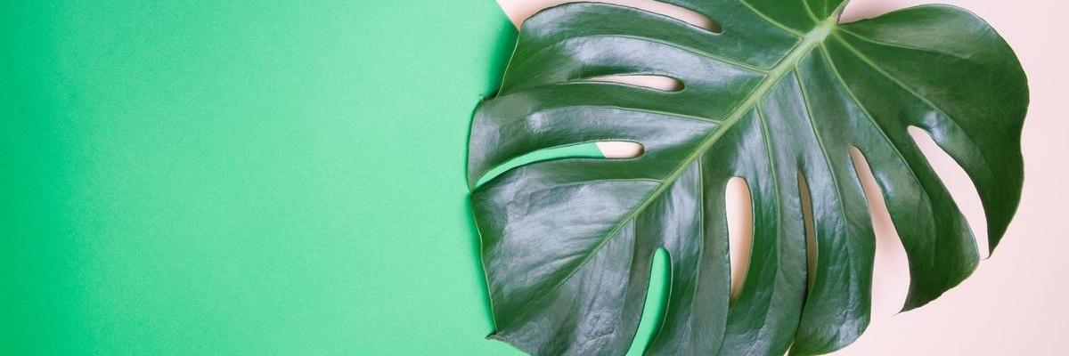 rufilq's profile banner image