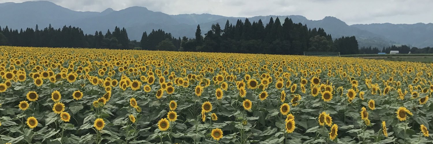 取引専用🚪 banner