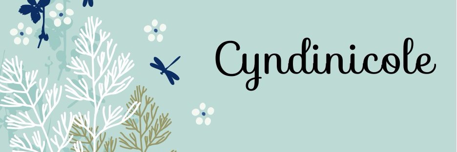Cnw92's profile banner image