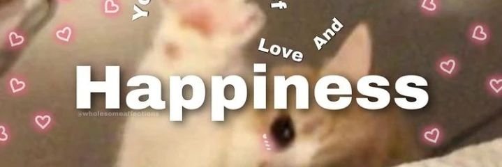 Josephine Meade ❤️ Memecoin banner