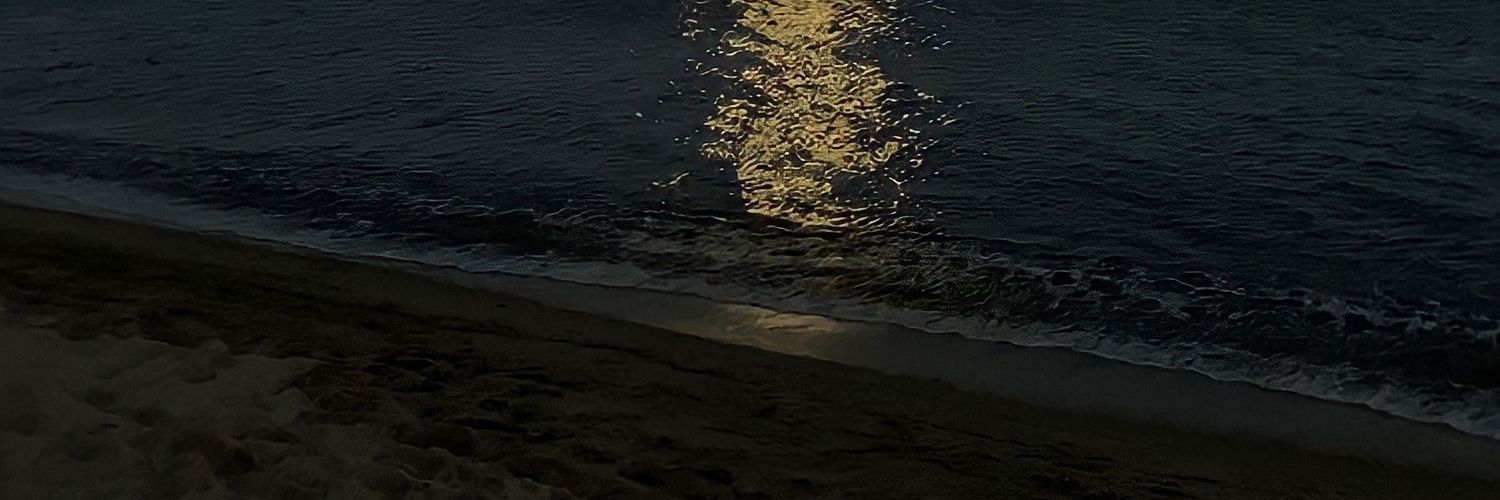 Running2l's profile banner image
