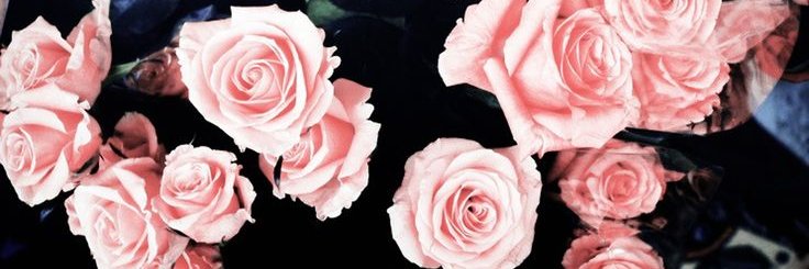 Sofija🇷🇸☦️ banner