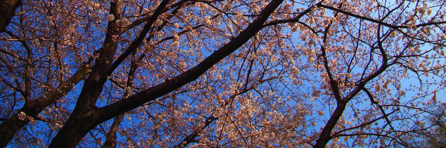 4d414b49's profile banner image