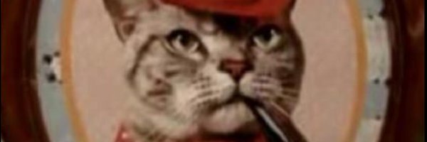 drmannzz Profile Banner