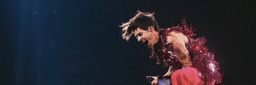 ashlynncecchini's profile banner image