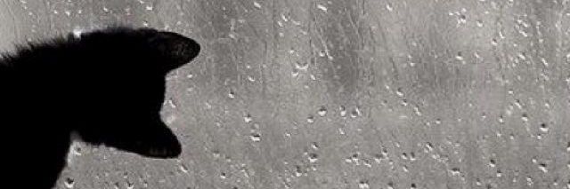 onmys_erl's profile banner image