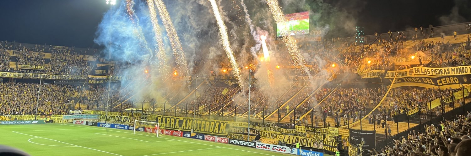 berniboidi's profile banner image